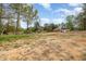 A spacious backyard with large trees at 903 Creech Rd, Garner, NC 27529
