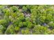 Overhead view of a home surrounded by leafy green trees at 10805 The Olde Pl, Raleigh, NC 27614