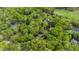 Aerial shot of a home nestled among mature trees and surrounding landscape at 10805 The Olde Pl, Raleigh, NC 27614