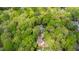 Aerial view of a property with mature tree coverage at 10805 The Olde Pl, Raleigh, NC 27614