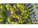 Birds-eye view showcases the property surrounded by greenery, roads, and neighboring houses at 286 Trillium Way, Clayton, NC 27527