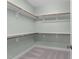 A walk-in closet features wrap around shelving with carpet flooring at 733 Holding Ridge Ct, Wake Forest, NC 27587