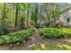 Green backyard featuring lush landscaping, mature trees, and a tranquil setting at 108 Maplewood Dr, Knightdale, NC 27545