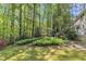 Lush backyard featuring ferns, azaleas, and natural landscaping at 108 Maplewood Dr, Knightdale, NC 27545