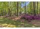 Lush front yard featuring a variety of flowering bushes and trees, creating a private and scenic landscape at 108 Maplewood Dr, Knightdale, NC 27545