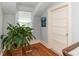 Hallway with wood floors, a window, a houseplant, and a white door at 1106 Sycamore St, Rocky Mount, NC 27801