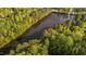 Scenic aerial view of a serene lake surrounded by lush greenery and mature trees at 128 Waterleaf Pl, Clayton, NC 27527