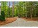 Gravel driveway leading to a charming home surrounded by lush greenery and mature trees at 1368 Ohio Ln, Sanford, NC 27332