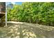 Expansive back yard featuring mature trees and a lush lawn, perfect for outdoor activities at 249 Mill Creek Dr, Clayton, NC 27527