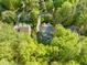 Aerial view of home nestled among mature trees, complemented by a beautifully maintained yard and landscaping at 314 Hogan Woods Cir, Chapel Hill, NC 27516