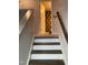 Carpeted staircase leading upstairs to a bathroom at 6332 Andante Ave, Raleigh, NC 27616