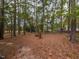 A large backyard offers endless possibilities for outdoor activities at 706 Mossburn Ct, Fuquay Varina, NC 27526
