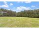 Large community field, perfect for recreational activities and enjoying nature at 956 The Parks Dr, Pittsboro, NC 27312