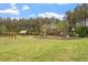 Community playground with various play structures, swings, and a covered picnic area at 956 The Parks Dr, Pittsboro, NC 27312