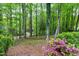 Lush backyard featuring mature trees, grass, landscape beds, and private, wooded setting at 102 Windrock Lane, Cary, NC 27518