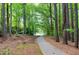 Scenic wooded path leading to lake views, perfect for leisurely strolls and enjoying nature at 102 Windrock Lane, Cary, NC 27518