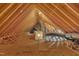 Spacious attic with exposed beams, offering potential storage and customizable living space at 124 Mantle Dr, Clayton, NC 27527