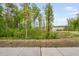 Scenic view of the lush green backyard with wooded area, creating a serene and private setting at 139 Callowhill Ln, Durham, NC 27713