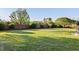 Expansive green backyard featuring a brick wall and mature trees at 149 Country Mill Way, Fuquay Varina, NC 27526