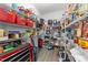 Spacious walk-in pantry providing ample storage with rows of shelves and various household items at 166 Yellow Jacket Rdg, Clayton, NC 27520