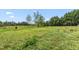 Large backyard with lots of grass and space at 1729 Crawford Rd, Graham, NC 27253