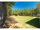 Large, grassy backyard surrounded by lush trees, offering privacy and ample space at 1730 Willie Pace Rd, Burlington, NC 27217