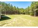 Spacious backyard surrounded by trees, perfect for outdoor activities and privacy at 1730 Willie Pace Rd, Burlington, NC 27217