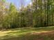 Large backyard with lush green grass surrounded by tall, mature trees, offering privacy and natural beauty at 1850 Crissy Ln, Graham, NC 27253