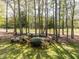 Scenic golf course view featuring lush greenery, mature trees, and manicured landscaping at 222 Kelso Ct, Cary, NC 27511
