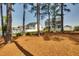 A spacious backyard with a ground covering of pine straw and several mature trees at 3037 Freeman Farm Way, Rolesville, NC 27571