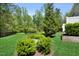A lush backyard with green grass, mature trees, and manicured bushes creates a tranquil outdoor space at 3667 Durwood Ln, Raleigh, NC 27604