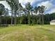 A picturesque backyard featuring a row of towering pine trees, green grass, and a black fence at 427 Earnest Way # L24, Kenly, NC 27542