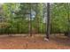 Landscaped backyard with wooded area features a wrought iron fence, offering a secure outdoor space at 43 Turtle Point Bnd, Chapel Hill, NC 27516