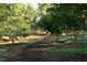Scenic walking trail with mature trees and lush greenery, perfect for an outdoor stroll at 43 Turtle Point Bnd, Chapel Hill, NC 27516