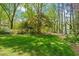 Expansive backyard featuring mature trees, flowering shrubs, and lush lawn at 605 Glen Eden Dr, Raleigh, NC 27612