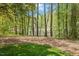 Backyard with serene water feature and mature trees, creating a peaceful and private outdoor space at 605 Glen Eden Dr, Raleigh, NC 27612