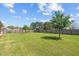 Large backyard with manicured lawn enclosed by a wood fence, offering a private and spacious outdoor area at 8 Pal Ct, Benson, NC 27504