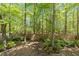 Secluded backyard with mature trees and a wood fence, offering privacy and natural beauty at 8212 Duck Creek Dr, Raleigh, NC 27616