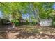 Backyard with mature trees, shed, and chicken coop at 104 E Wilson St, Mebane, NC 27302