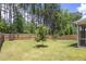 Well-maintained backyard, green grass, bordered by a wooden privacy fence and lush trees at 126 Elmsford St, Durham, NC 27703