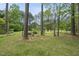 Expansive backyard featuring mature trees, providing shade and seclusion at 207 Ashley Brook Ct, Cary, NC 27513