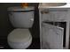 Close up of the toilet and sink at 223 Gum Ave, Spring Hope, NC 27882