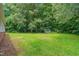 A backyard with a well-manicured lawn and a shed in the background at 4047 Mistletoe Dr, Burlington, NC 27217