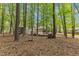 View of backyard and trees provides a private natural backdrop enhancing the property's outdoor space at 604 Young Forest Dr, Wake Forest, NC 27587