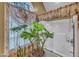 Bright bathroom with plants, shower and curtained arched window to bring the outdoors in at 604 Young Forest Dr, Wake Forest, NC 27587
