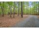 Tree-lined driveway to the home with lush greenery and peaceful surroundings at 673 Brookview Dr, Chapel Hill, NC 27514