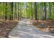 Long private driveway surrounded by mature trees and lush landscaping at 673 Brookview Dr, Chapel Hill, NC 27514