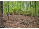 Home nestled among rocks and mature trees, surrounded by lush greenery at 673 Brookview Dr, Chapel Hill, NC 27514