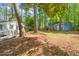 Backyard of home with grass, mulch, trees and foliage with shed or carport in view at 6804 Justice Dr, Raleigh, NC 27615