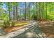 Long driveway leads to a brick home, surrounded by tall trees and vibrant greenery in a lush, wooded setting at 6804 Justice Dr, Raleigh, NC 27615